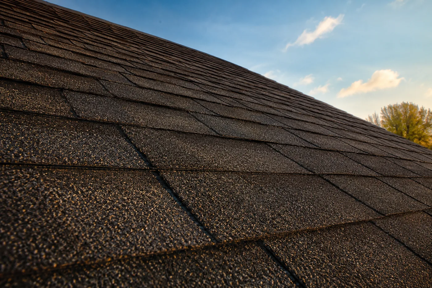 Close-up of freshly installed architectural shingles at golden hour